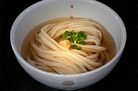 写真・かけうどん